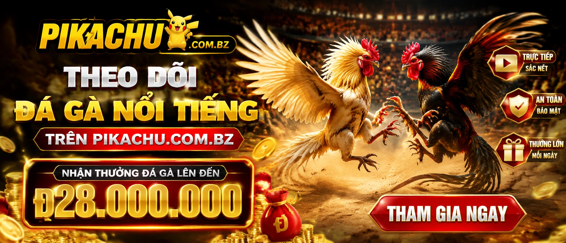 Đá Gà Trực Tiếp